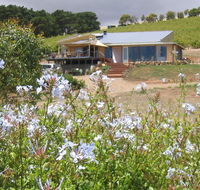 The Blue Grape Vineyard Accommodation - Accommodation Gold Coast