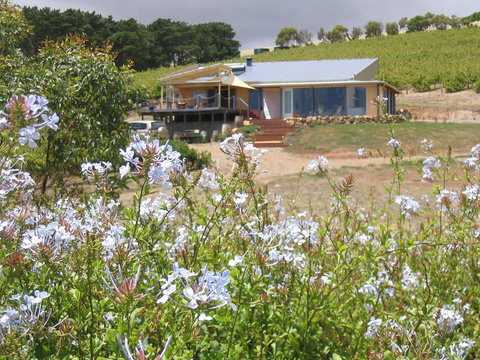 The Blue Grape Vineyard Accommodation - Accommodation Gold Coast 0