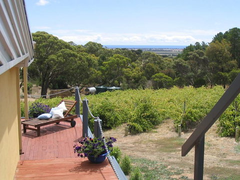 The Blue Grape Vineyard Accommodation - Accommodation Gold Coast 1