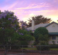 Angaston Rose BB