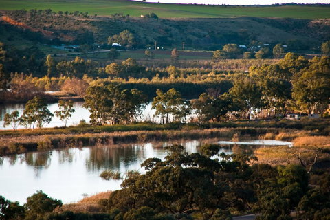 Riverview Rise Retreats - Accommodation Gold Coast 3