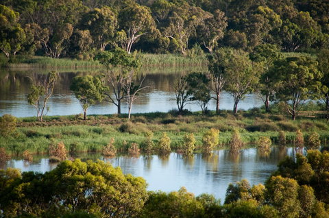 Riverview Rise Retreats - Accommodation Gold Coast 4