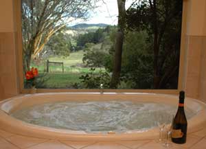 Adelaide Hills Country Cottages - The Nest - Accommodation Gold Coast 0