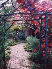 Adelaide Hills Country Cottages - The Nest - Accommodation Gold Coast 2