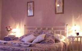 Peesey Park Farm Stay - Accommodation Gold Coast 1