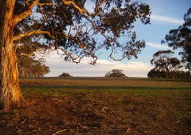 Mirrabooka Bed And Breakfast - Accommodation Gold Coast 1