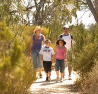Long Island Caravan Park Cabins - Accommodation Gold Coast