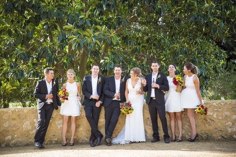 Willunga Peacock Farm Bed And Breakfast - Accommodation Gold Coast 3