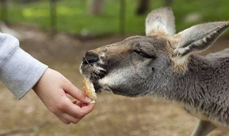 Watervale Retreat - Accommodation Gold Coast 5