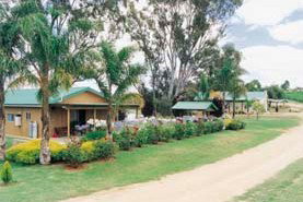 Mundic Grove Cottage - Accommodation Gold Coast 2
