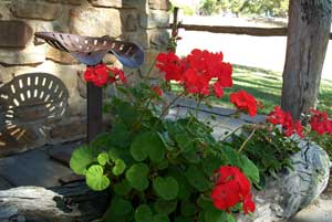 Adelaide Hills Country Cottages - Gum Tree Cottage - Accommodation Gold Coast 3