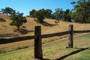 Adelaide Hills Country Cottages - Gum Tree Cottage - Accommodation Gold Coast 4
