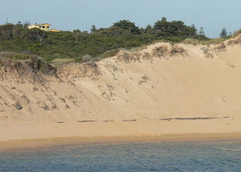 Ark Bed And Breakfast - Accommodation Gold Coast 1