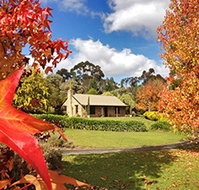 Adelaide Hills Country Cottages - Lavender Fields - Accommodation Gold Coast