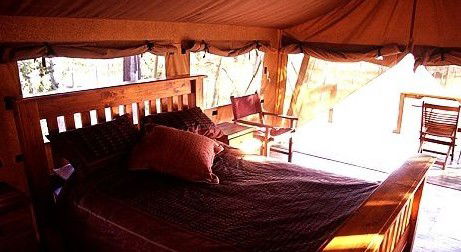 Jabiru Safari Lodge At Mareeba Wetlands - Accommodation Gold Coast 1