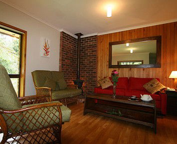 The Canopy Rainforest Tree Houses And Wildlife Sanctuary - Accommodation Gold Coast 1