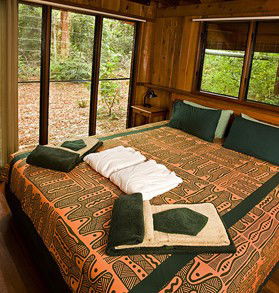 The Canopy Rainforest Tree Houses And Wildlife Sanctuary - Accommodation Gold Coast 2