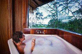 Rose Gums Wilderness Retreat - Accommodation Gold Coast 3