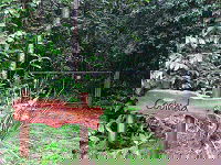 Rivers Edge Rainforest Retreat - Accommodation Gold Coast 4