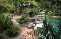 Galvins Edge Hill Bed And Breakfast - Accommodation Gold Coast 5