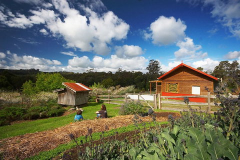 Elvenhome Farm Cottage - Accommodation Gold Coast 6