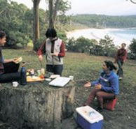 Fortescue Bay Camping Ground - Accommodation Gold Coast