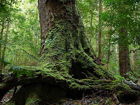  Accommodation Gold Coast