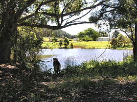 Newry Park Cottage - Accommodation Gold Coast 0