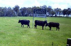 Cluan Homestead - The Managers Residence - Accommodation Gold Coast 0