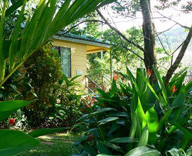 Daintree Valley Haven - Accommodation Gold Coast 0