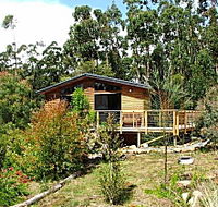 Southern Forest Accommodation - Accommodation Gold Coast