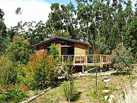 Southern Forest Accommodation - Accommodation Gold Coast 0