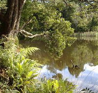 Weldborough Camping Ground - Accommodation Gold Coast