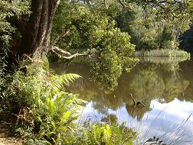 Weldborough Camping Ground - Accommodation Gold Coast 0