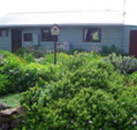 Engadine Cottage - Accommodation Gold Coast