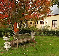 Grandma's House