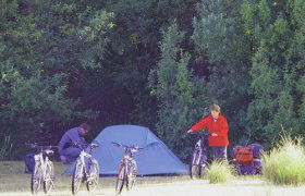 Maria Island TAS Accommodation Gold Coast