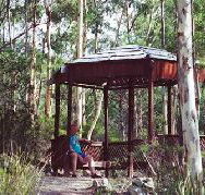 Telopea - Gold Coast 4U