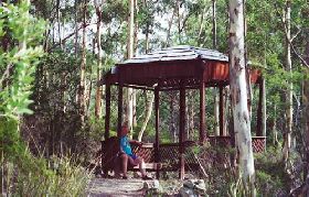 Telopea - Accommodation Gold Coast 0