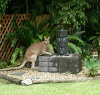 Bluewater Bed and Breakfast Cairns - Accommodation Gold Coast