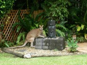 Bluewater Bed And Breakfast Cairns - Accommodation Gold Coast 0