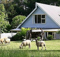Hide-Away Cottage Retreat - Accommodation Gold Coast