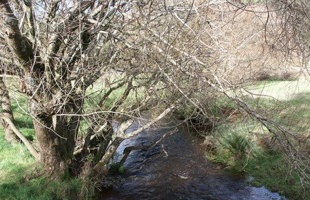 Penguin Valley Farm - Accommodation Gold Coast 1