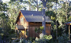 Cradle Mountain Highlanders - Accommodation Gold Coast 1