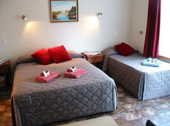 Telopea - Accommodation Gold Coast 1