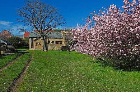 Forget-Me-Not Cottage - Accommodation Gold Coast 3