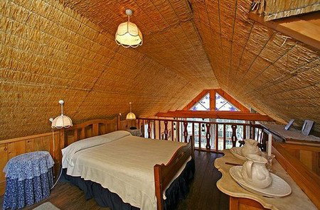 Forget-Me-Not Cottage - Accommodation Gold Coast 4