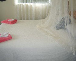 Leafmoor Cottage - Accommodation Gold Coast 2