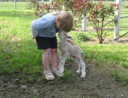 Taras Richmond Farmstay - Accommodation Gold Coast 3