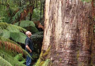 Fingal Hotel - Accommodation Gold Coast 5